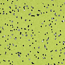 Линолеум Forbo Sphera Ec 450049 yellow green  | FLOORDEALER